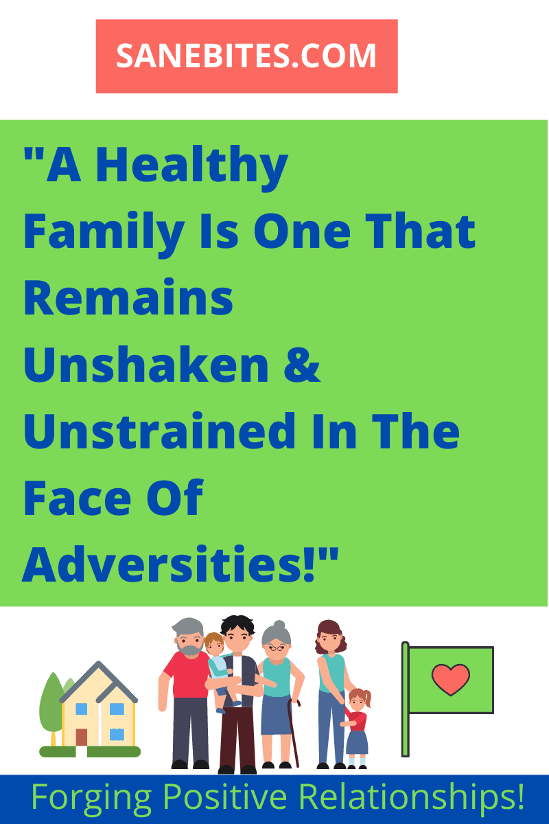 What are the signs of a healthy family